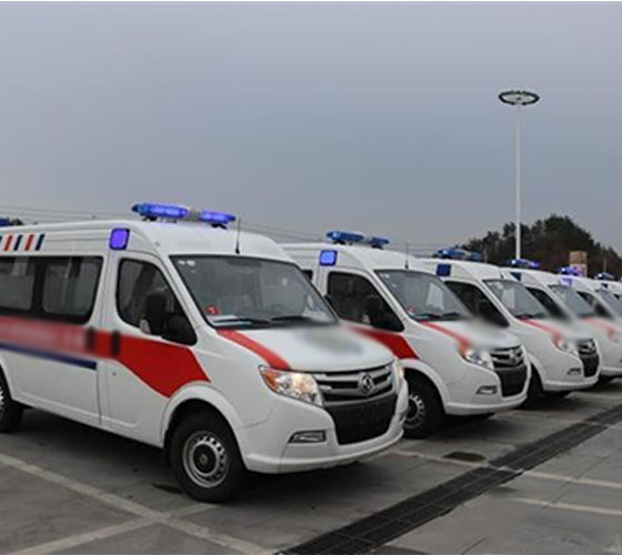 洛隆县服务车队展示